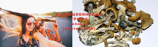 спайс Армянск
