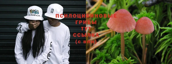 молекула духа Козельск