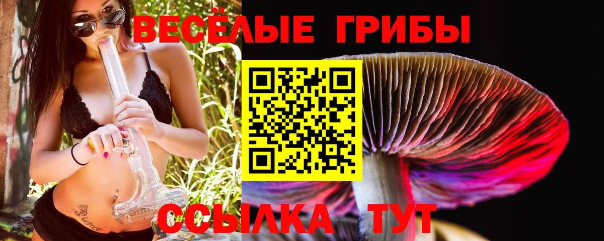 Нарткала  Галлюциногенные грибы мицелий  Галлюциногенные грибы Cubensis  Вход с VPN 